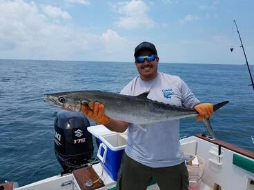 Dolphin,Cobia and More 