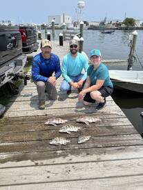 Sheepshead action today