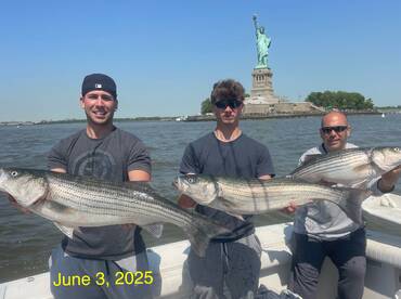 New York City Report Photo 2