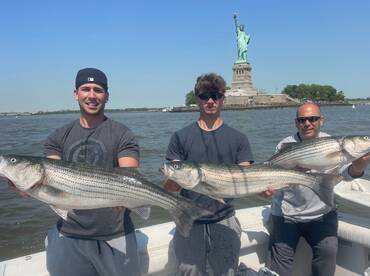 New York City Report Photo 1