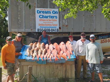Opening day snapper