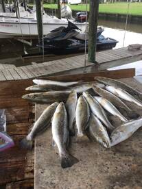 Lake Charles Report Photo 1