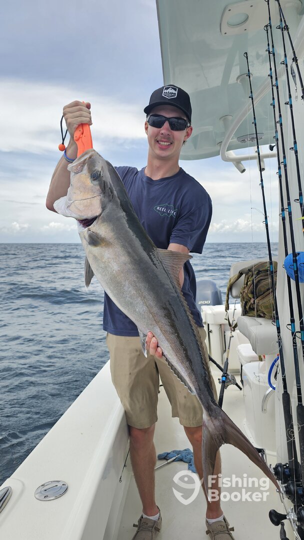 Panama City Report Photo 0