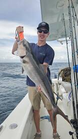 Wahoo on light tackle and snapper bite i