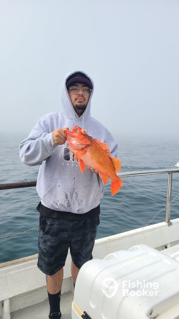 Ensenada Report Photo 0