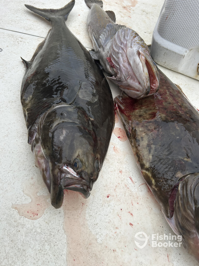 Washington Coast Report Photo 0