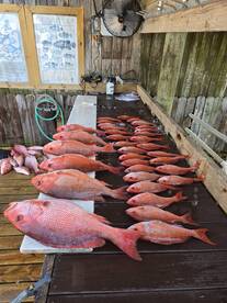 Pensacola Beach Report Photo 1