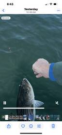 myself . It was a beutiful day on the wa