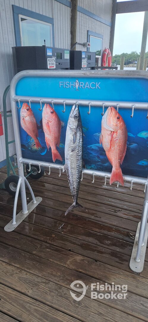 Panama City Report Photo 0