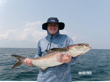 Cobia are in.