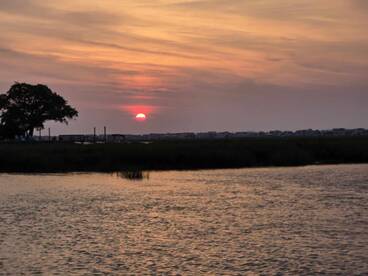 Murrells Inlet Report Photo 1