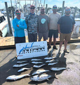 Offshore and bottom trip  