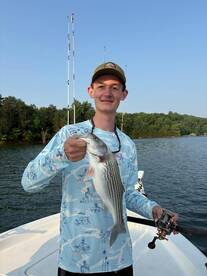 Gainesville Report Photo 2