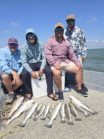 Galveston Report Photo 2