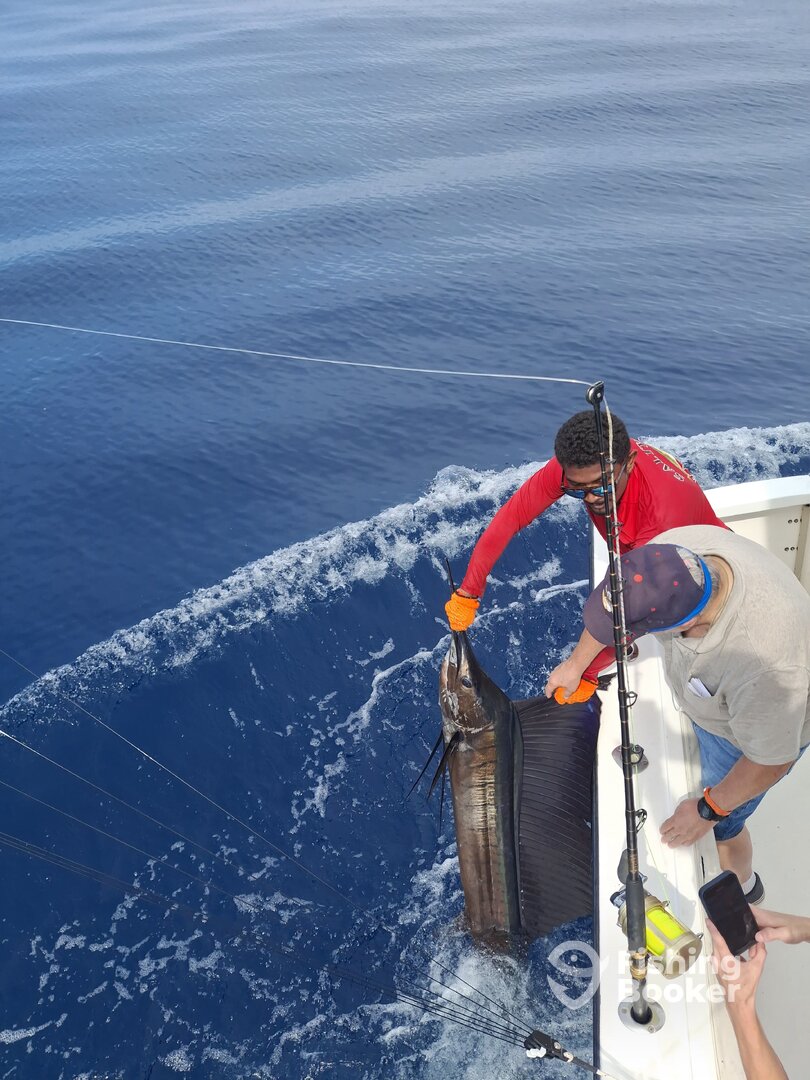 Playa Flamingo Report Photo 0