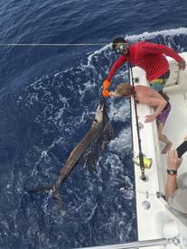 Playa Flamingo Report Photo 2