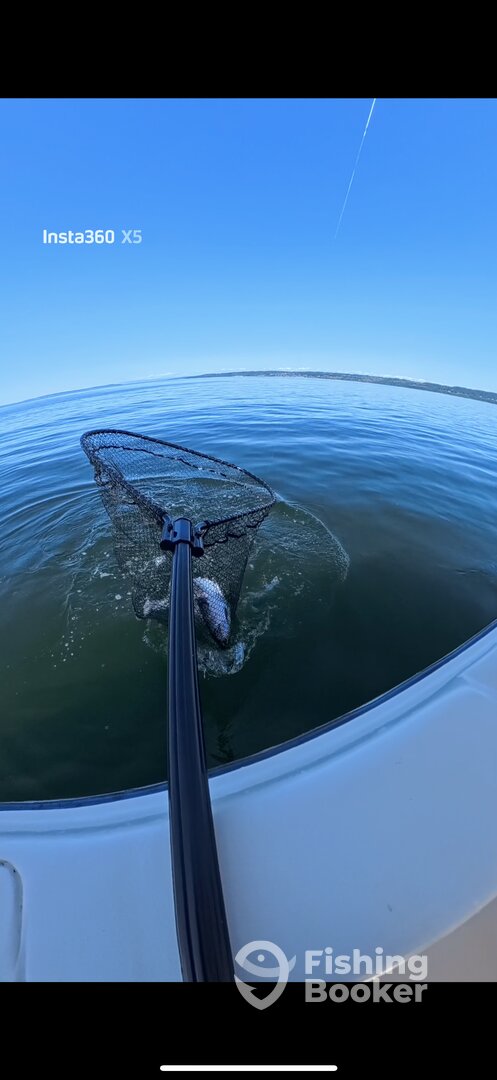 Edmonds Report Photo 0