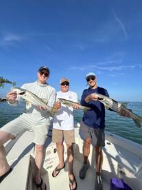 Sarasota Report Photo 1