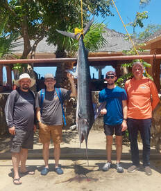 DALIKEN Marlin Fishing in Los Cabos – 