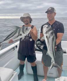San Jose del Cabo Report Photo 1