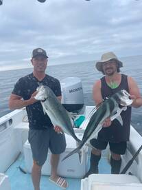 San Jose del Cabo Report Photo 2
