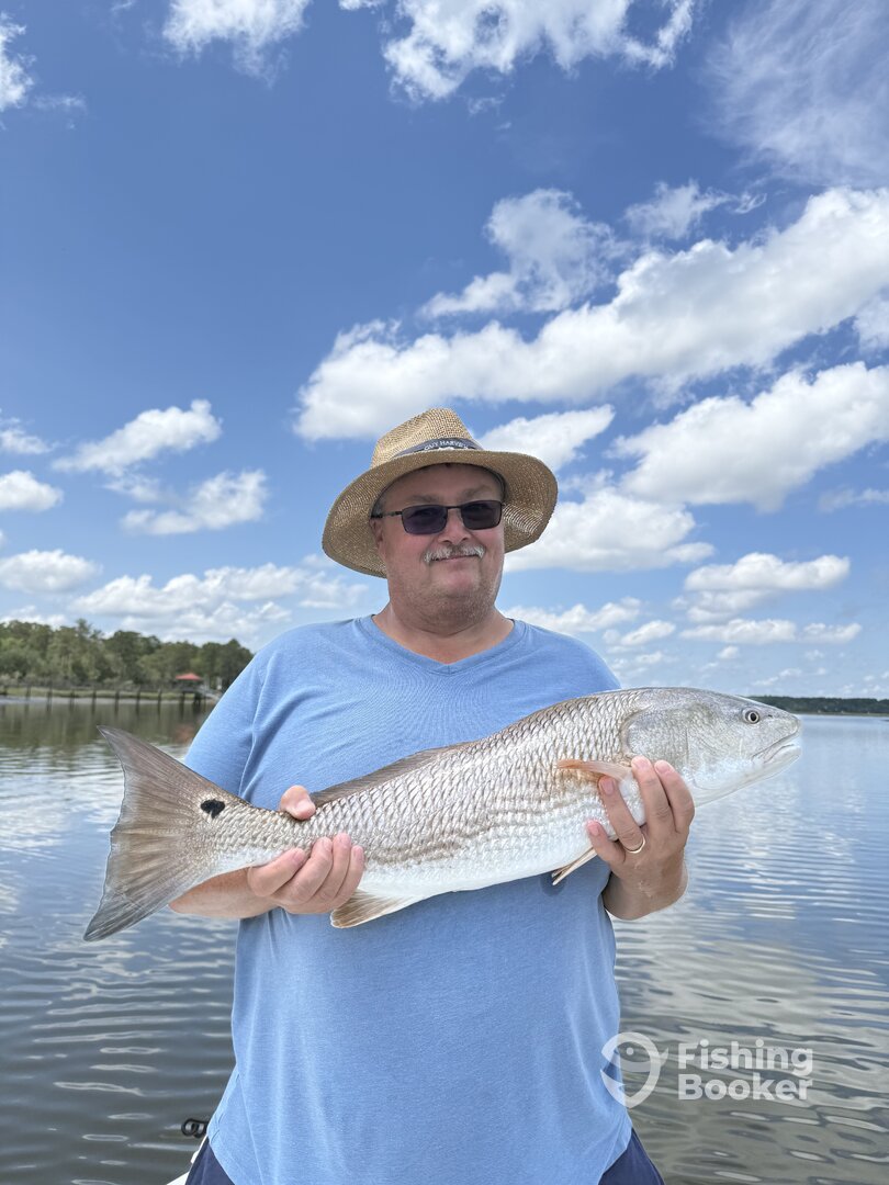 Edisto Beach Report Photo 0