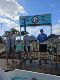 Haleiwa Report Photo 2