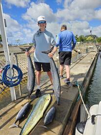 Haleiwa Report Photo 1