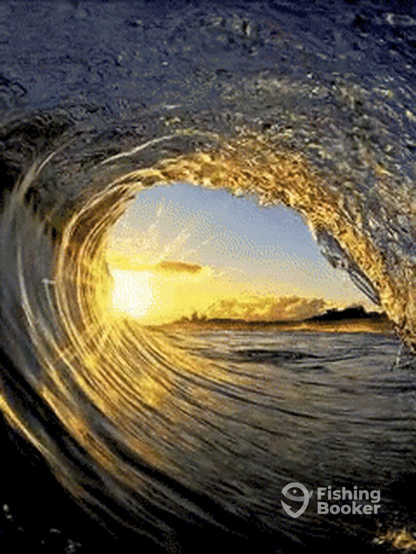Hilton Head Island Report Photo 0