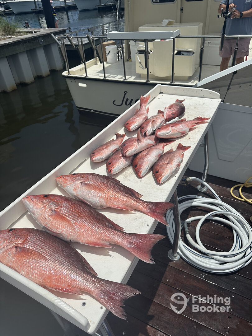 Orange Beach Report Photo 0