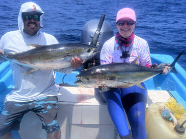 Sayulita Report Photo 1