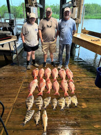 Red Snapper and Sheephead