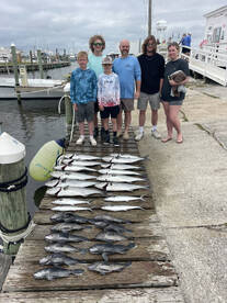 Big blues nice sea bass and Spanish mack