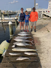 Yellowfins , mahi and tile fish