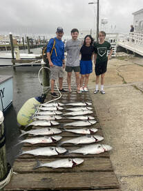 Impressive blue fishing right now