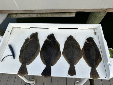 Stone Harbor Report Photo 1