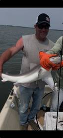 Chincoteague Report Photo 1