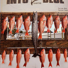 Destin Report Photo 1