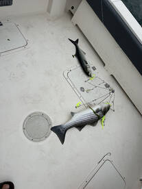 Brick Township Report Photo 2
