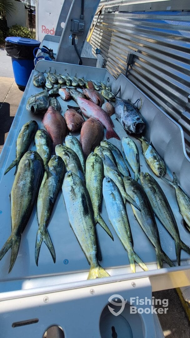 Sandestin Report Photo 0