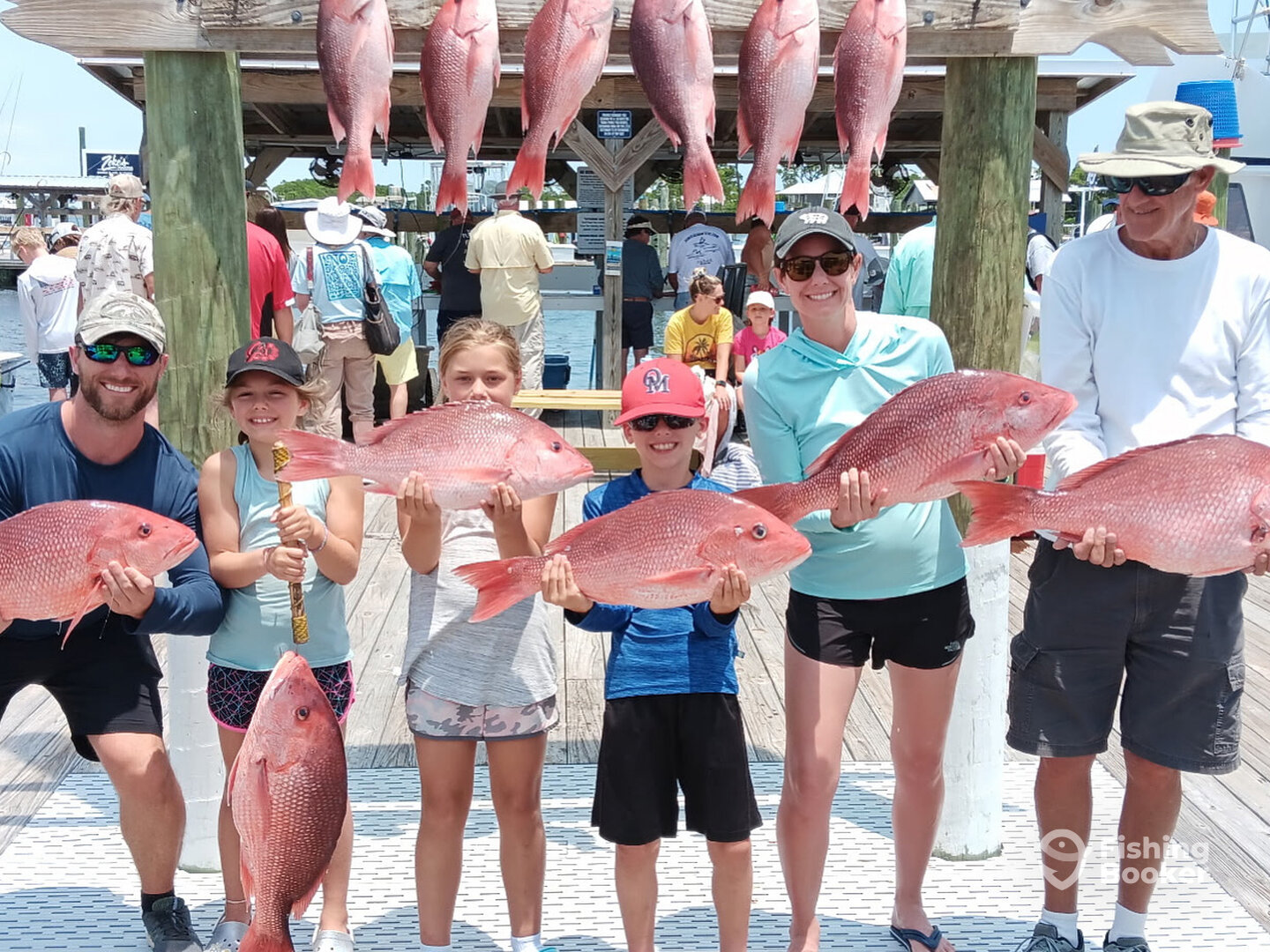 Orange Beach Report Photo 0