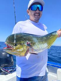 More Tunas and Mahis 
