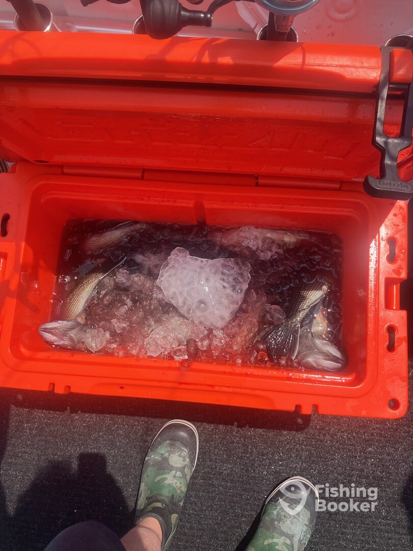 Point Pleasant Report Photo 0