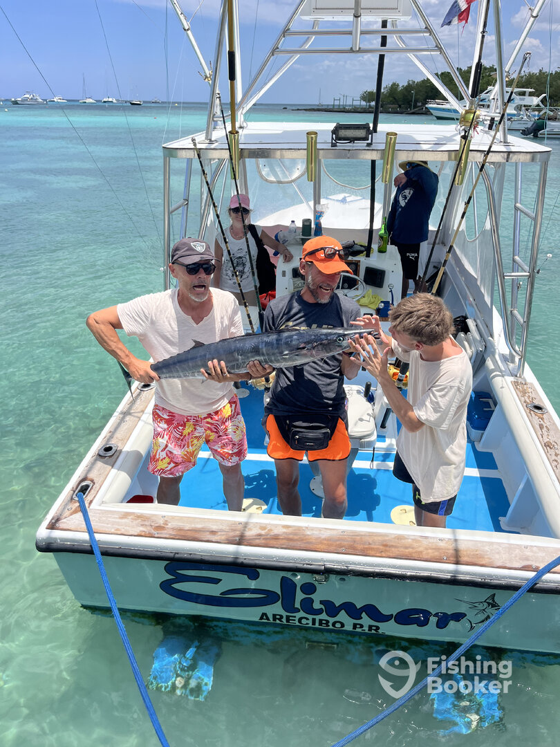 Dominicus Report Photo 0
