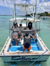 Dominicus Report Photo 1