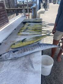 Lower Keys Report Photo 4
