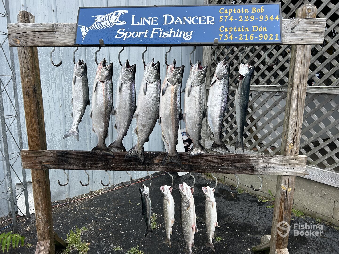 Benton Harbor Report Photo 0