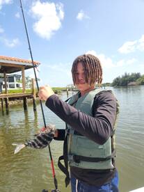 DeBary Report Photo 2