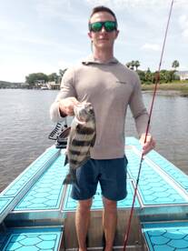 Black Drum