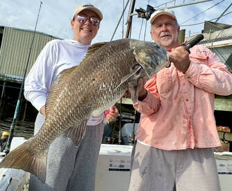 D'Iberville Report Photo 1